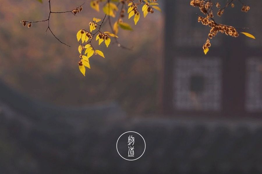 处暑的读音,处暑节气