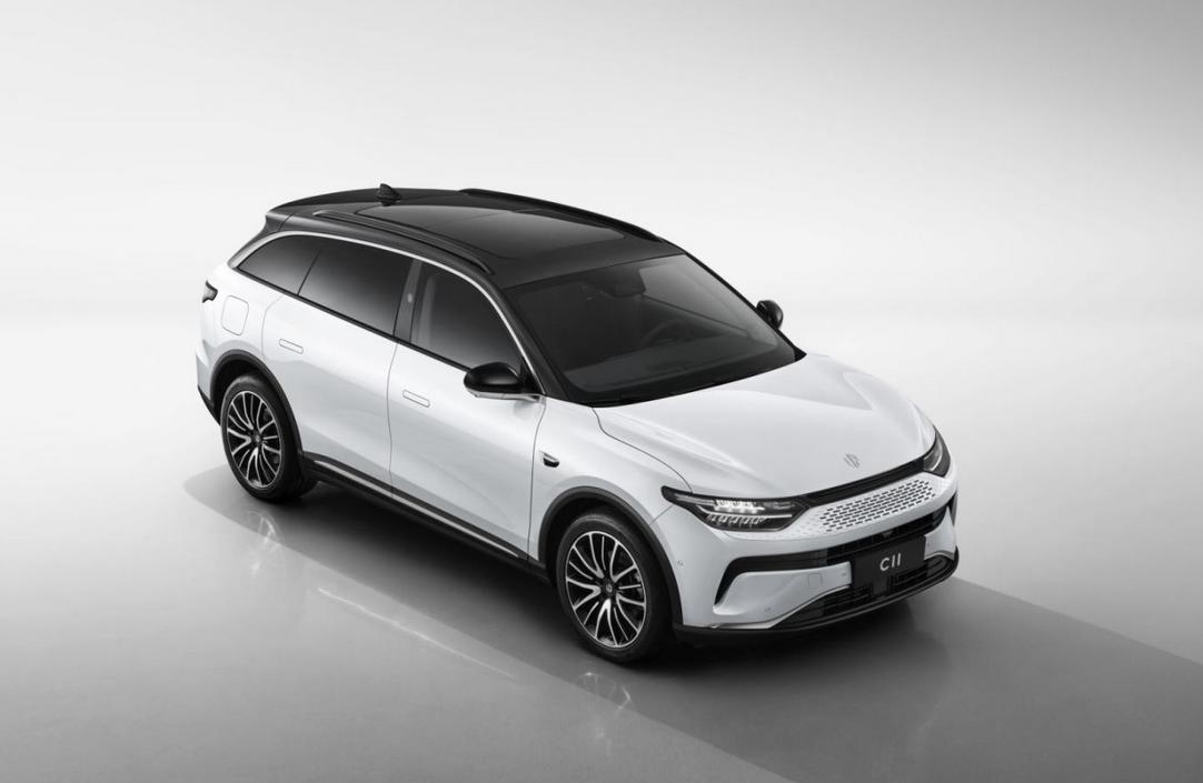 现在还有必要买纯燃油车,怎么就不听劝呢