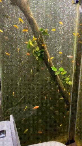 “易孕体质是种什么样的感受？”哇哈哈哈哈太真实了