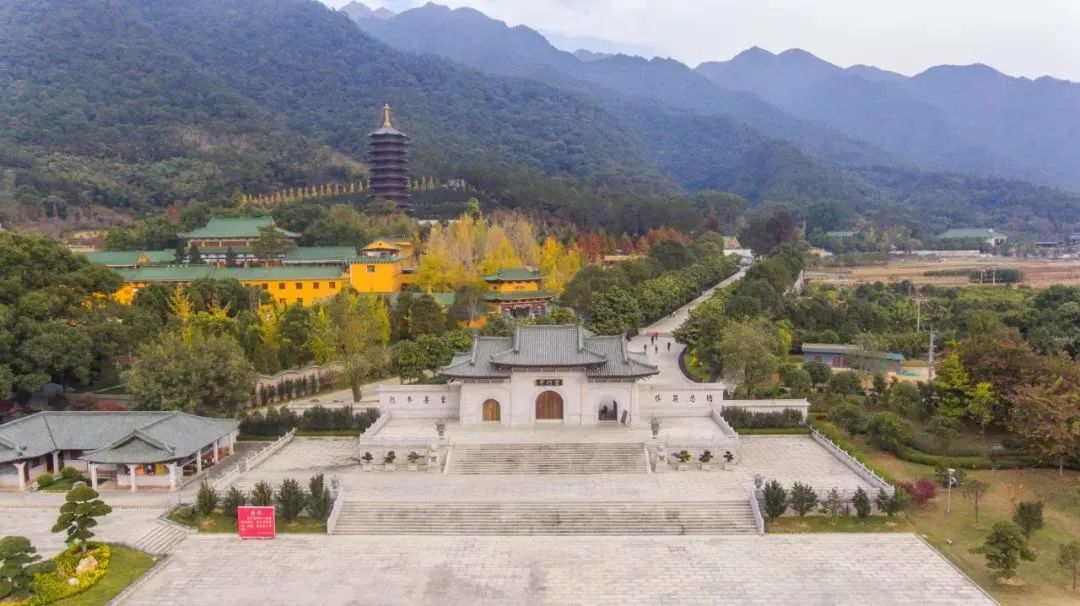 letsgo一周目攻略,letsgo图鉴攻略