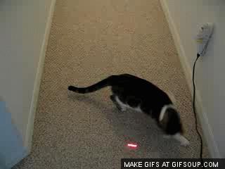 成功学大师被捕,成功学大师被捕现场