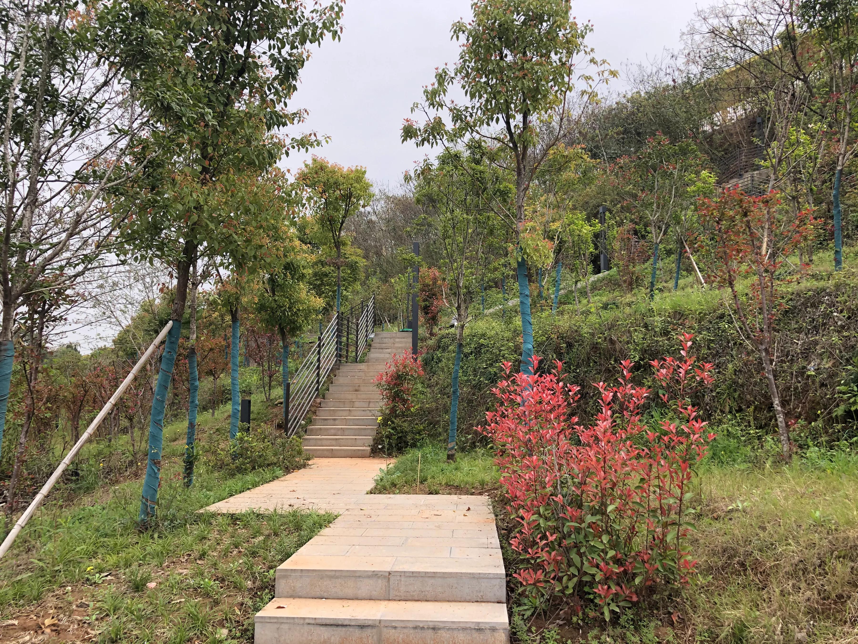 瀹滄槍鎺㈢,瀹滄槍杩愭渤鍏洯