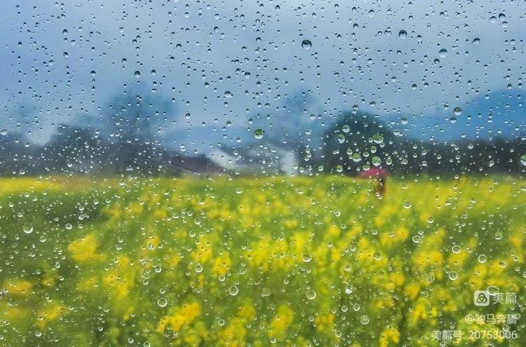 山东老干部诗词学会会刊,老干部诗词大全