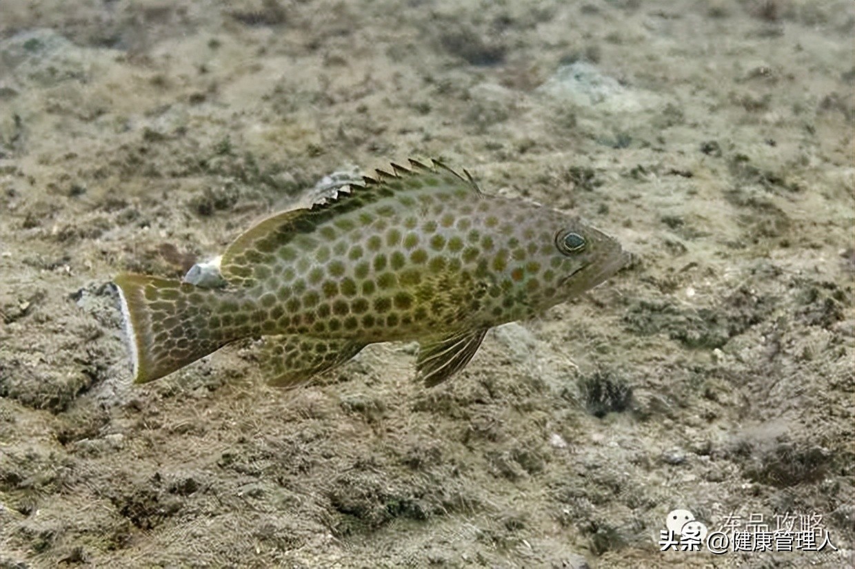 美容护肤食疗方案,美容护肤养生介绍
