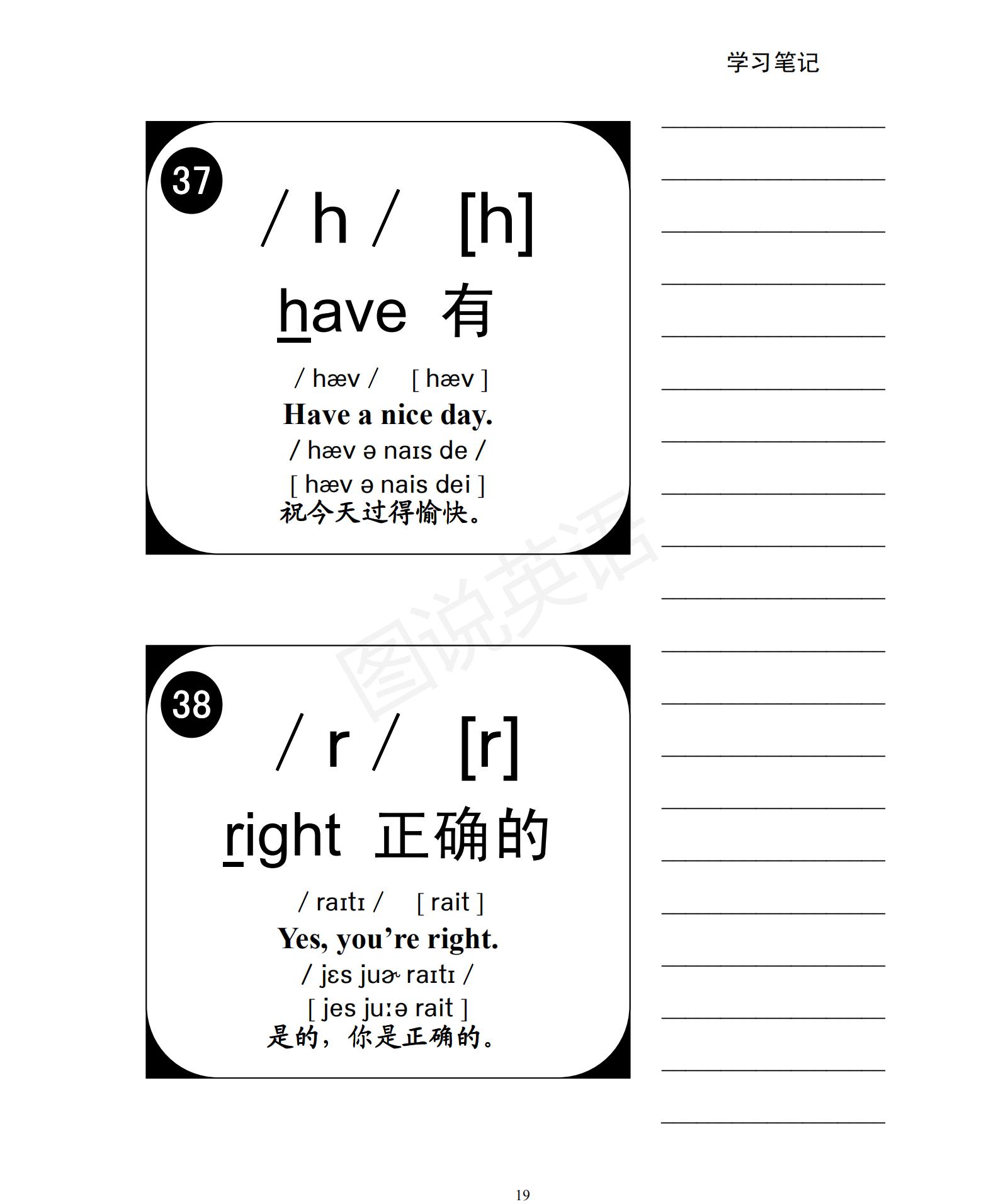 一口气学会音标视频,音标48个国际音标发音教程