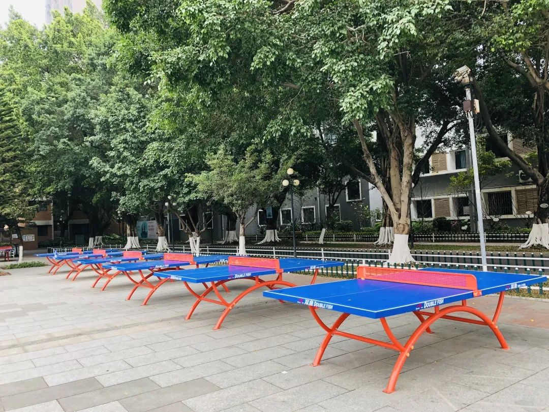 深圳光明高级中学体育场,深圳光明高级中学校队