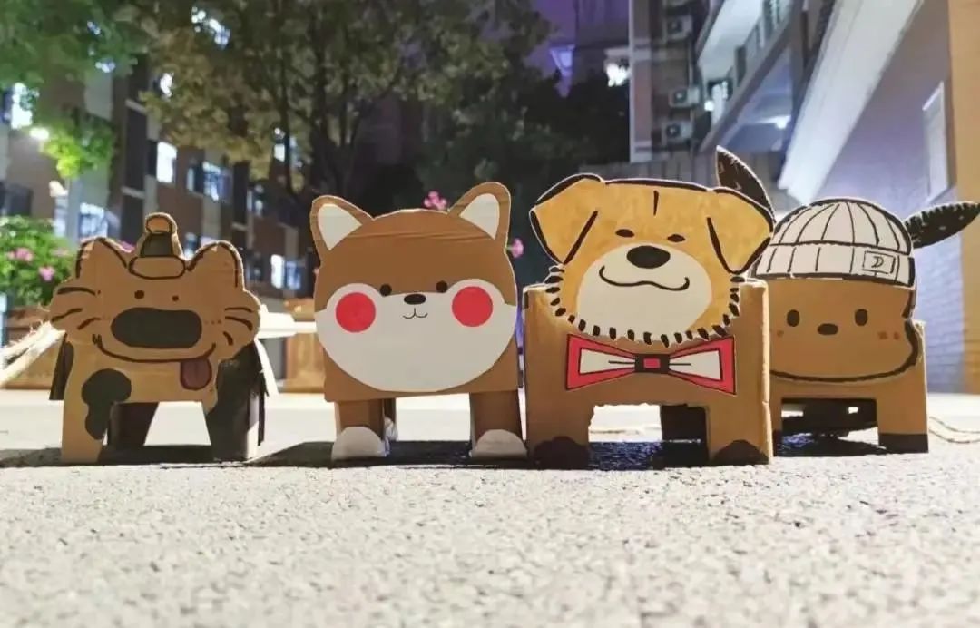 这届学生，开始在宿舍遛“纸狗”了