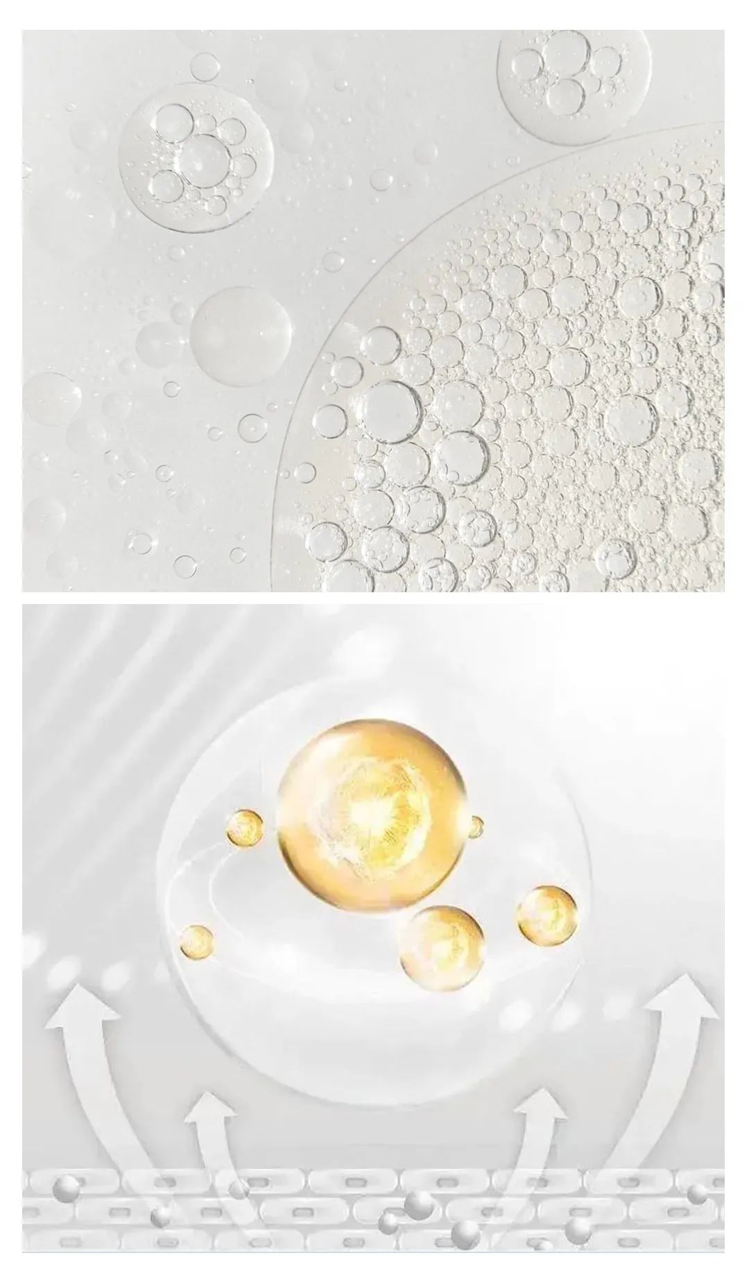 这个冬天让你的肌肤焕发光彩,这个冬天让你滋润一整年