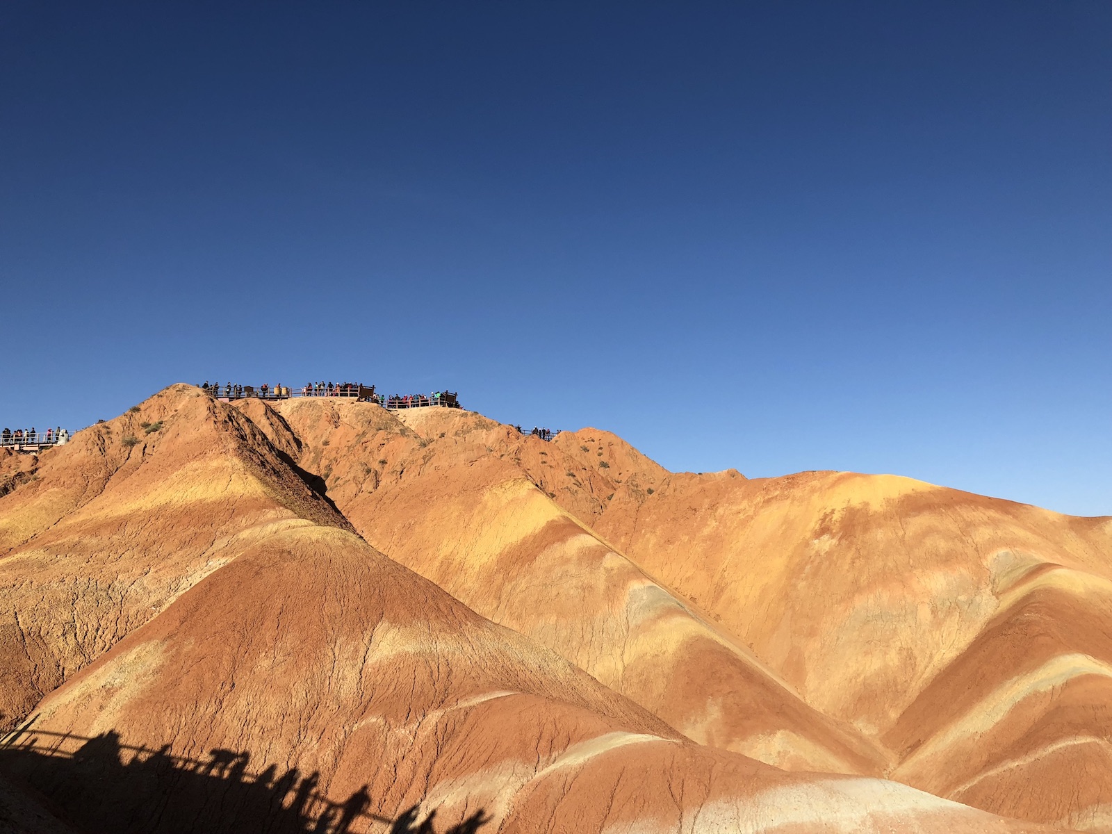 北京自驾额济纳胡杨林十天攻略,从北京到额济纳胡杨林线路