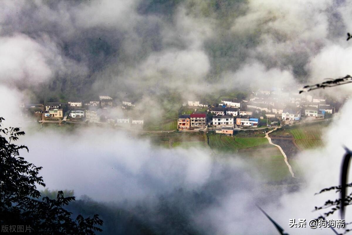 驴事,驴事民间故事