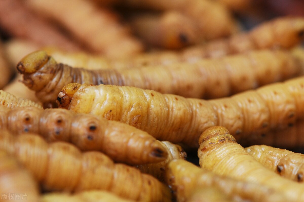 全国最坑人的十大小吃街,中国十大小吃街在哪