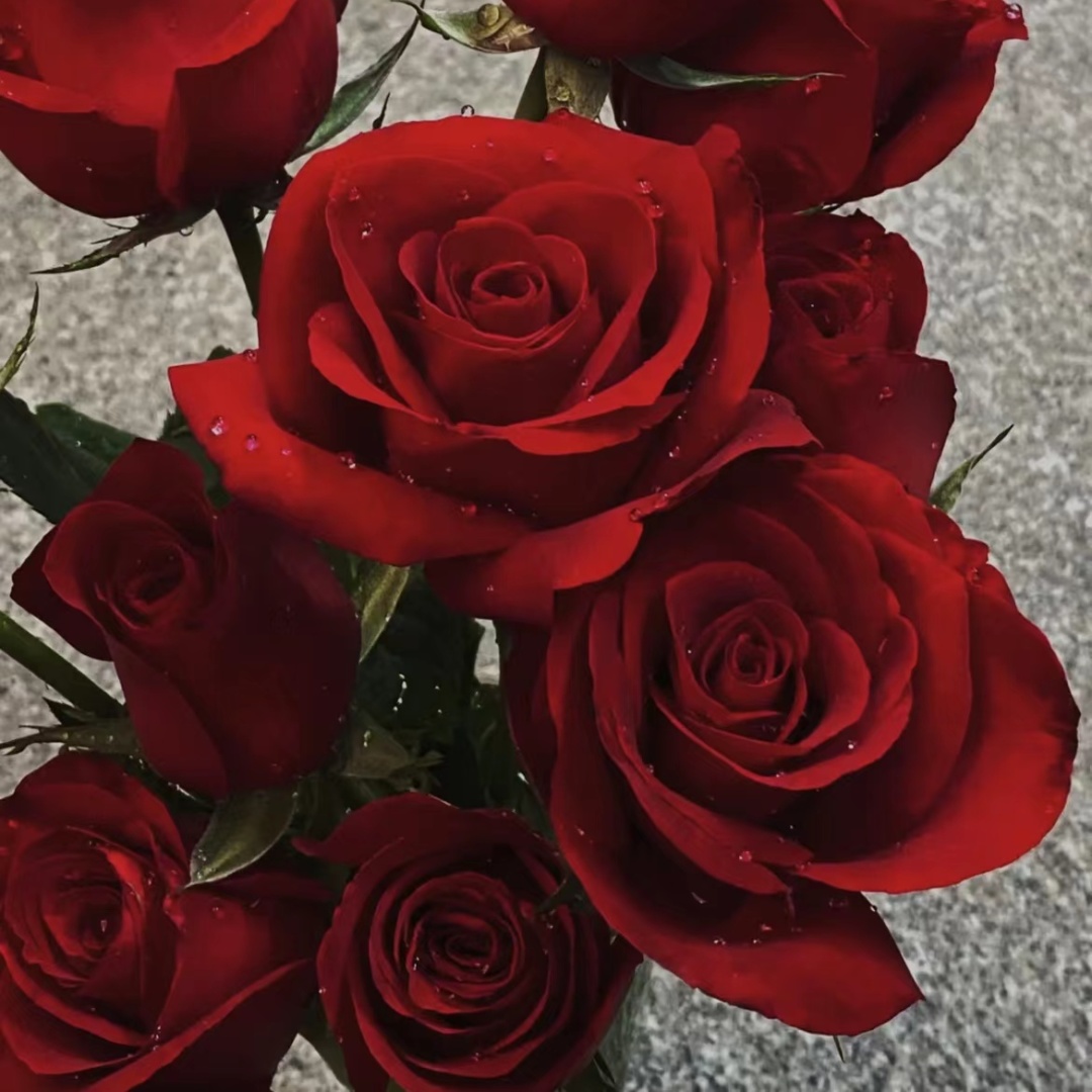 养花小白如何成为大神呢,养花达人是怎样养花