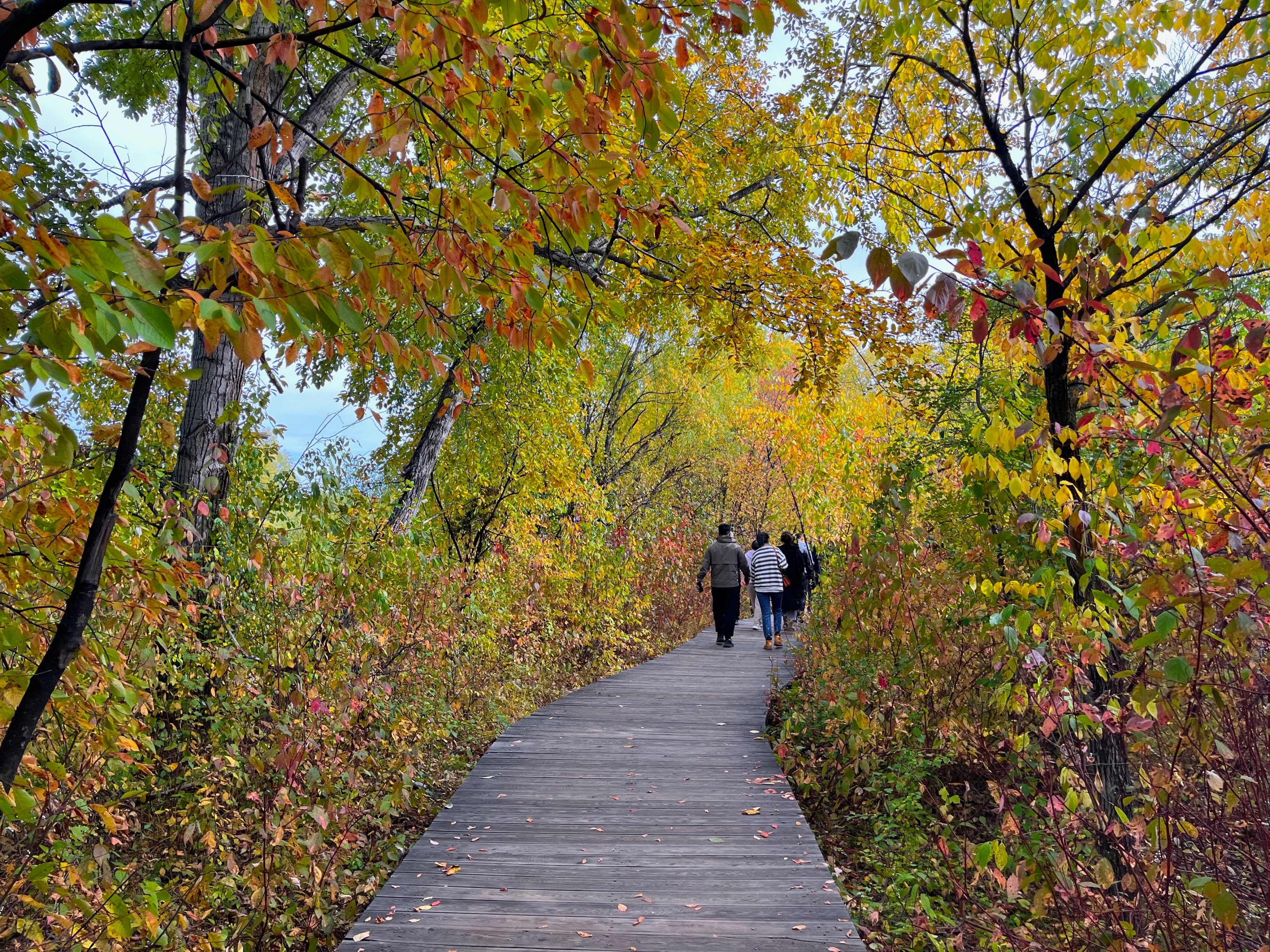 夫妻自驾11000公里,夫妻两人自驾游最新视频