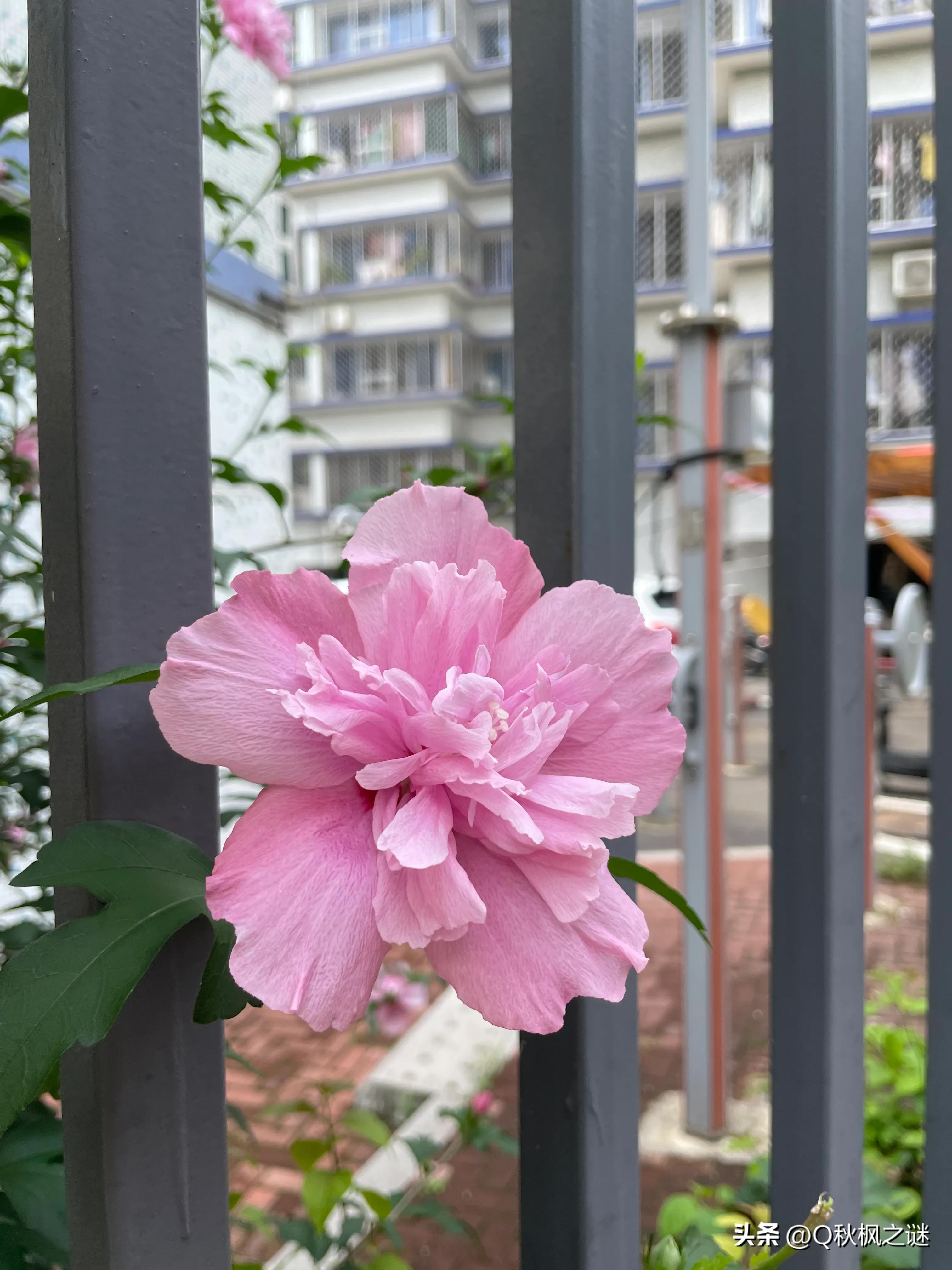 记录妈妈工厂里上班日常生活,记录真实上班族妈妈的生活