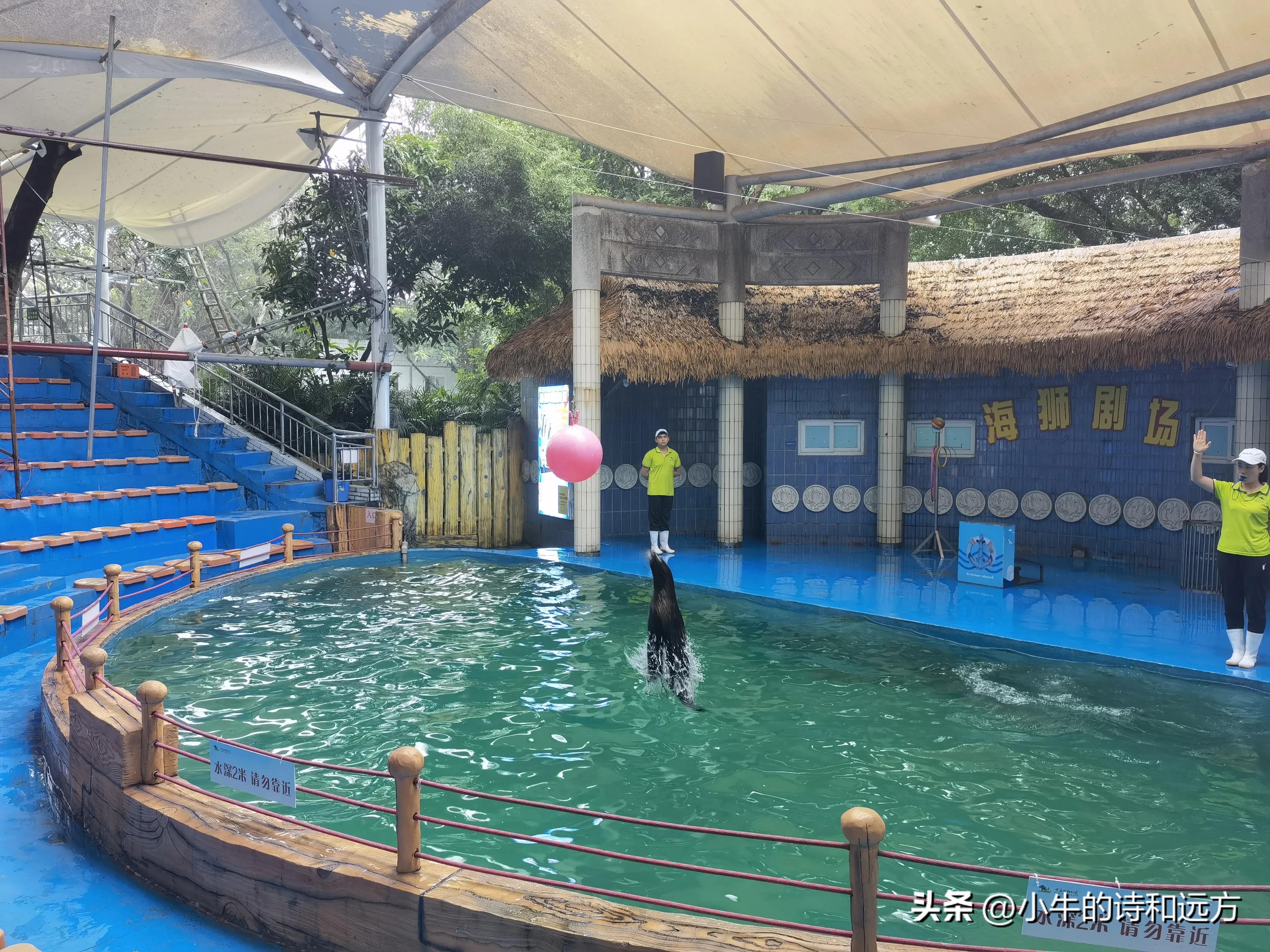 溜娃好去处就在紫谷萌宠乐园,青龙湖湿地公园遛娃攻略