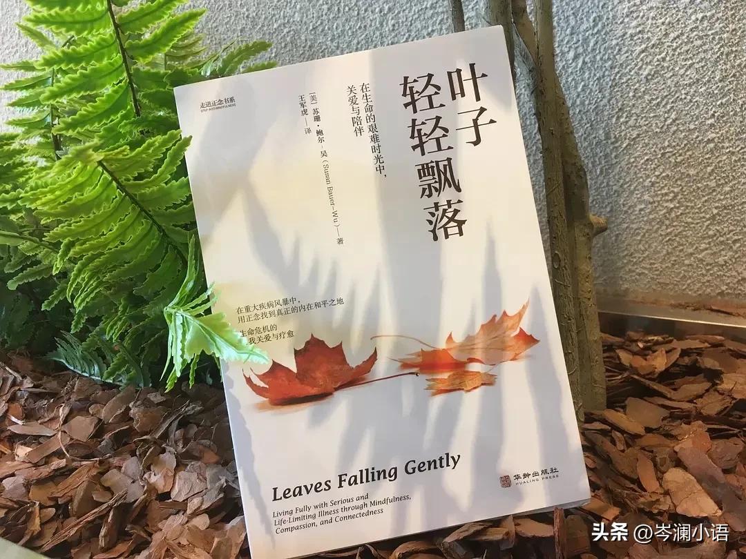 423世界读书日,423世界读书日精华