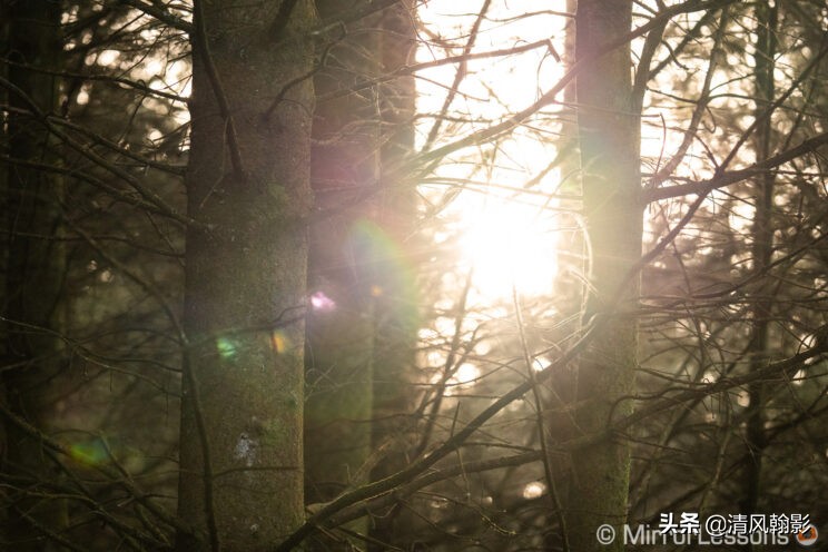 索尼微单长焦镜头55-210,索尼微单长焦镜头最新款