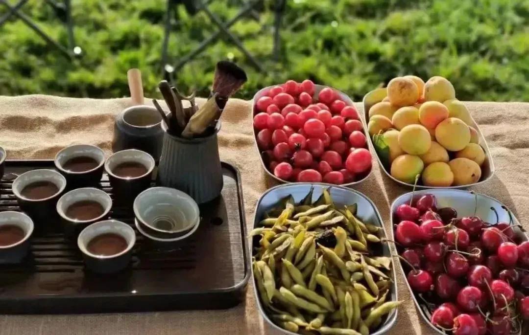 关山牧场免费露营,关山牧场户外露营