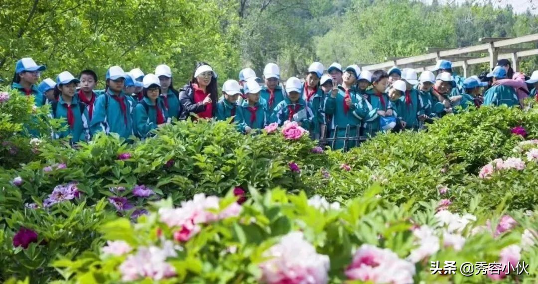 北关小学校园,撷英萃华