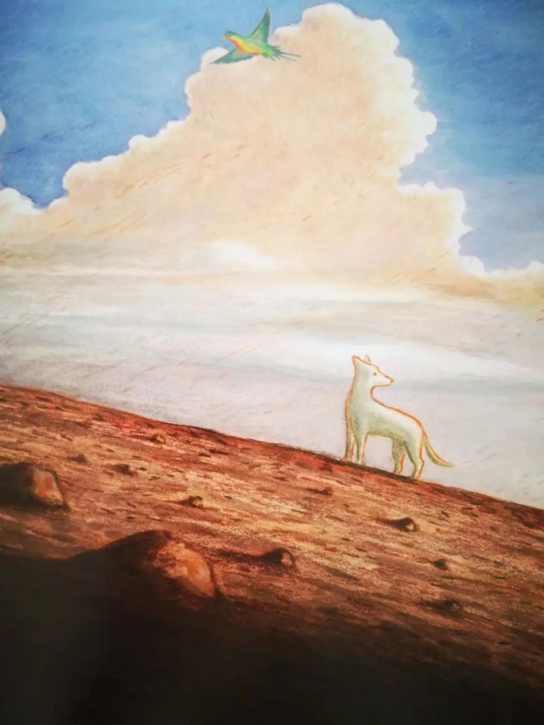 散步绘本小熊,散步疗愈电子书