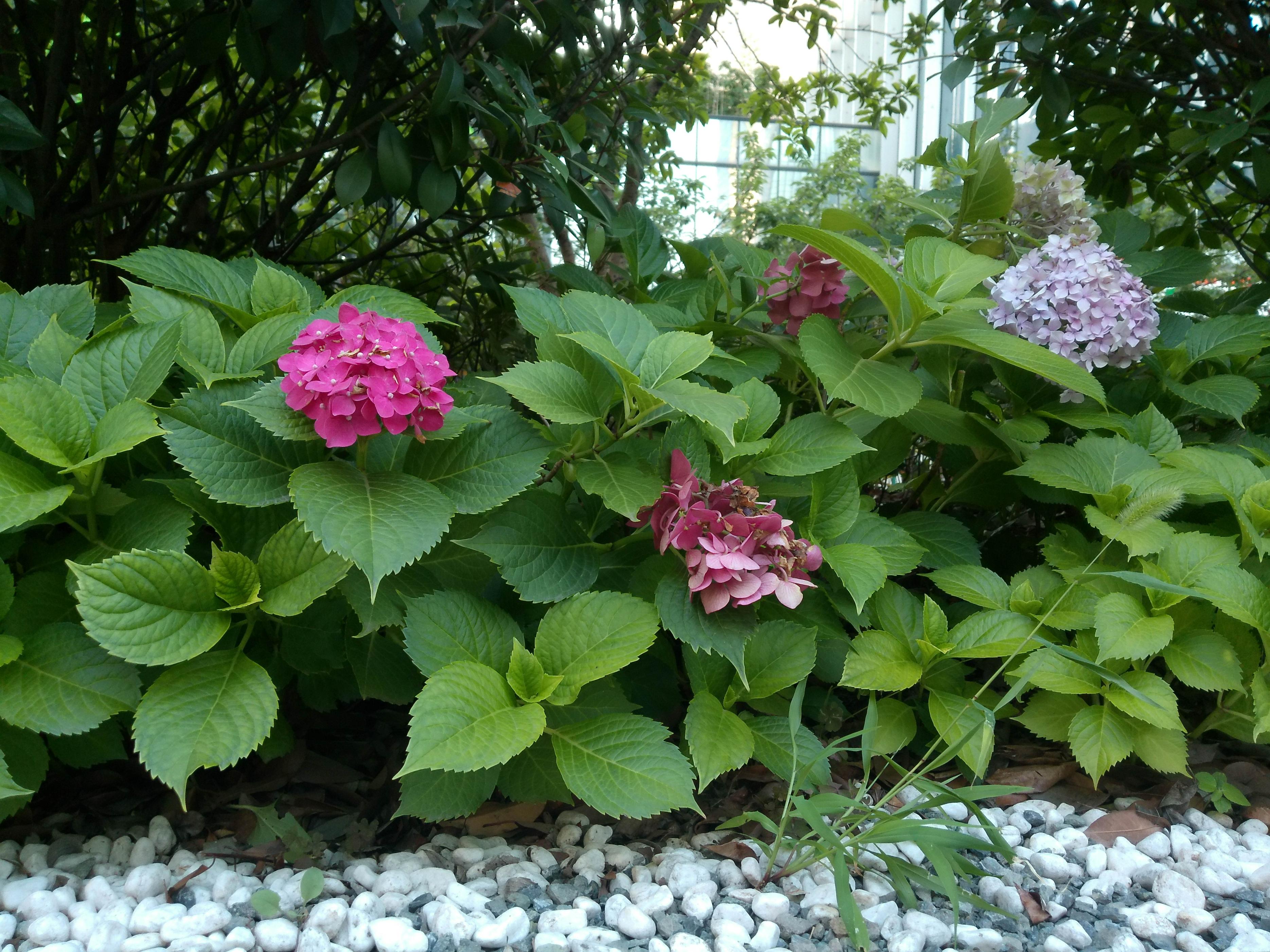 国产5K高清数码相机仅要千元，松典DC201S微单相机实测值得买吗？