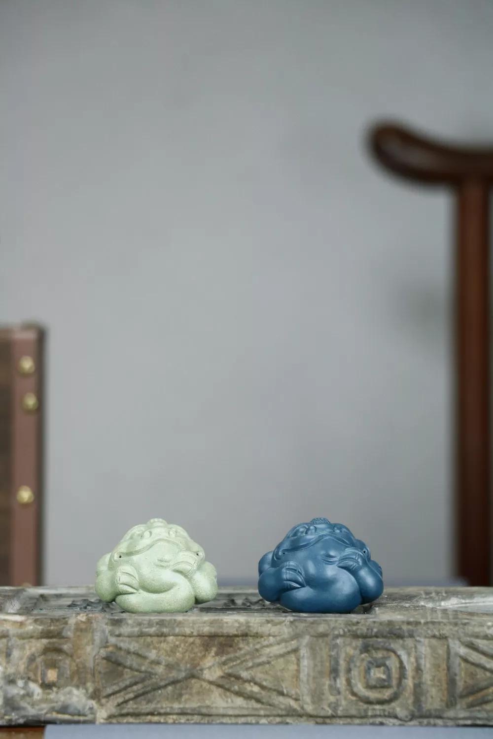 招财金蟾学名,招财金蟾图片