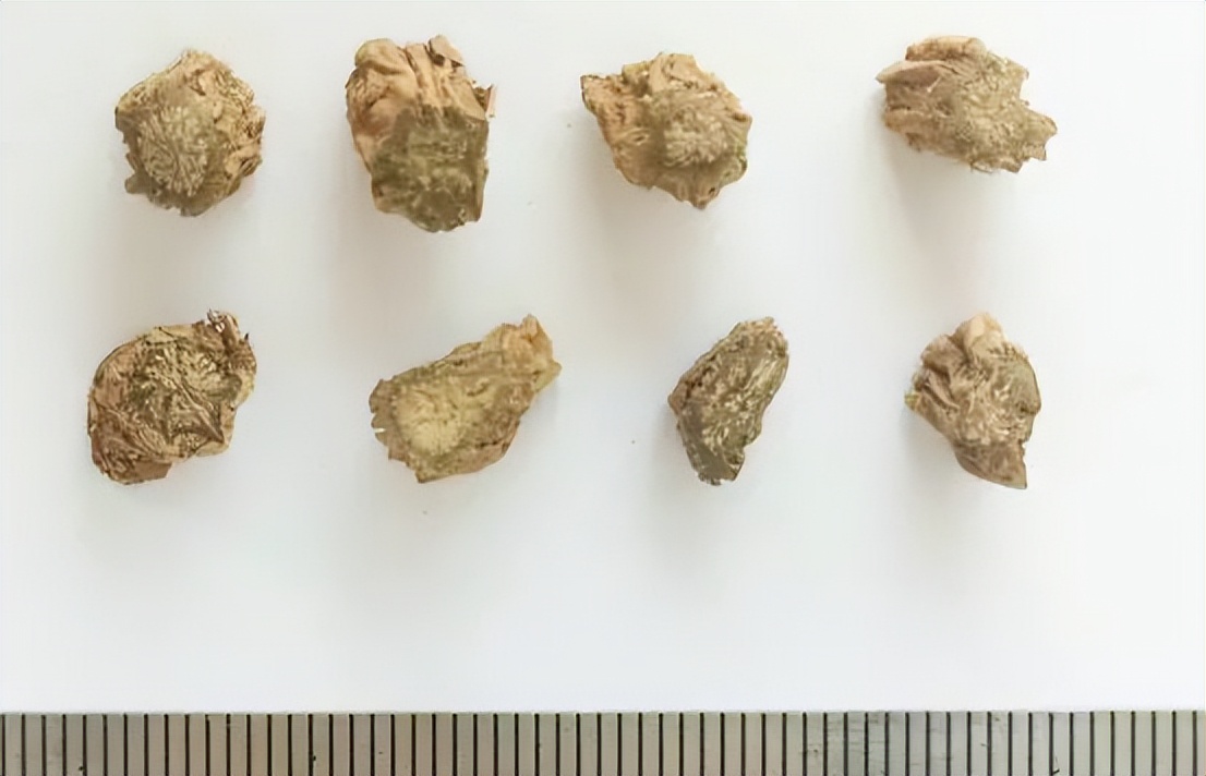 带你识别各种废旧塑料,带你识别白术