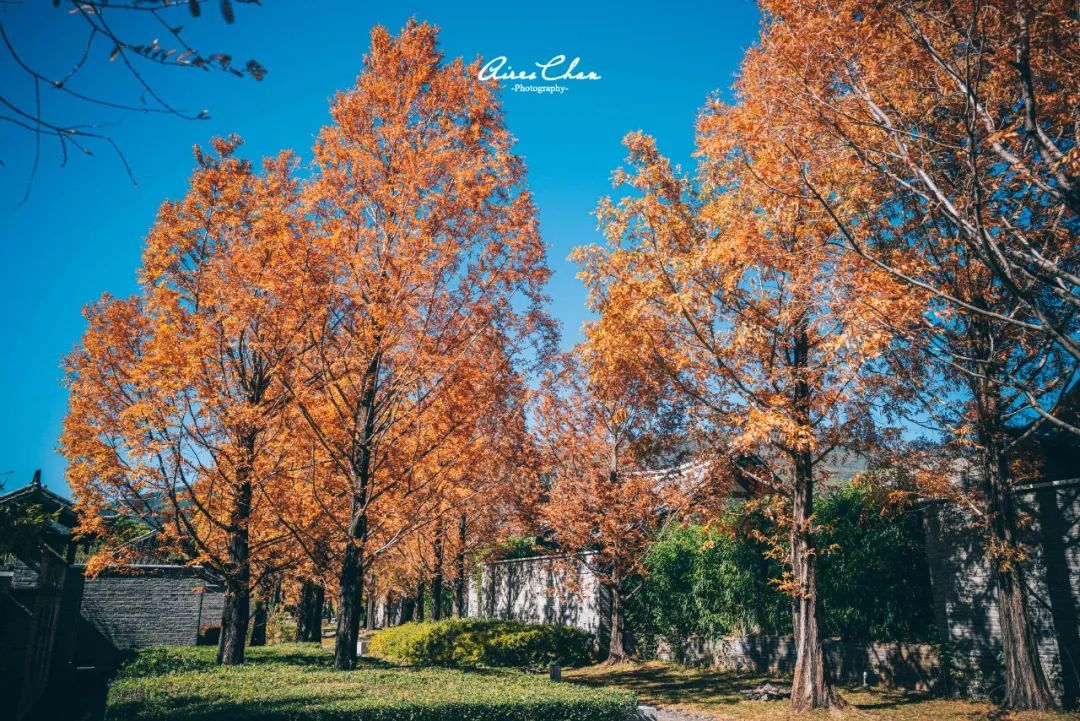 丽江悦榕庄酒店用餐,云南丽江悦榕庄酒店价格