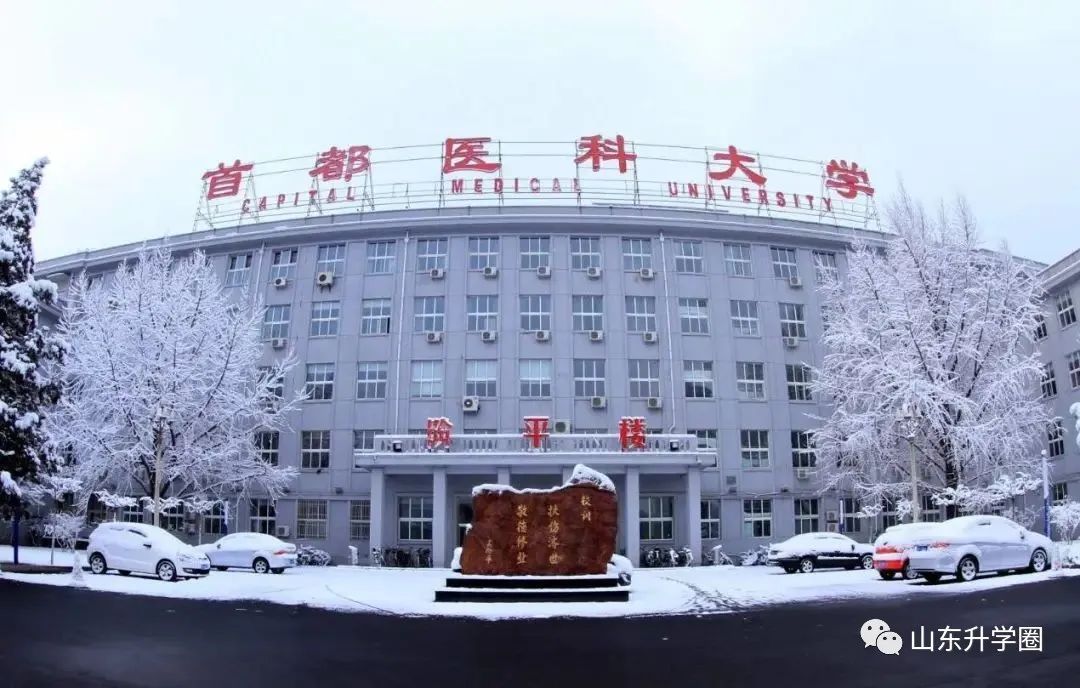 山东高考志愿填报最好专业,山东高考志愿填报专业及录取