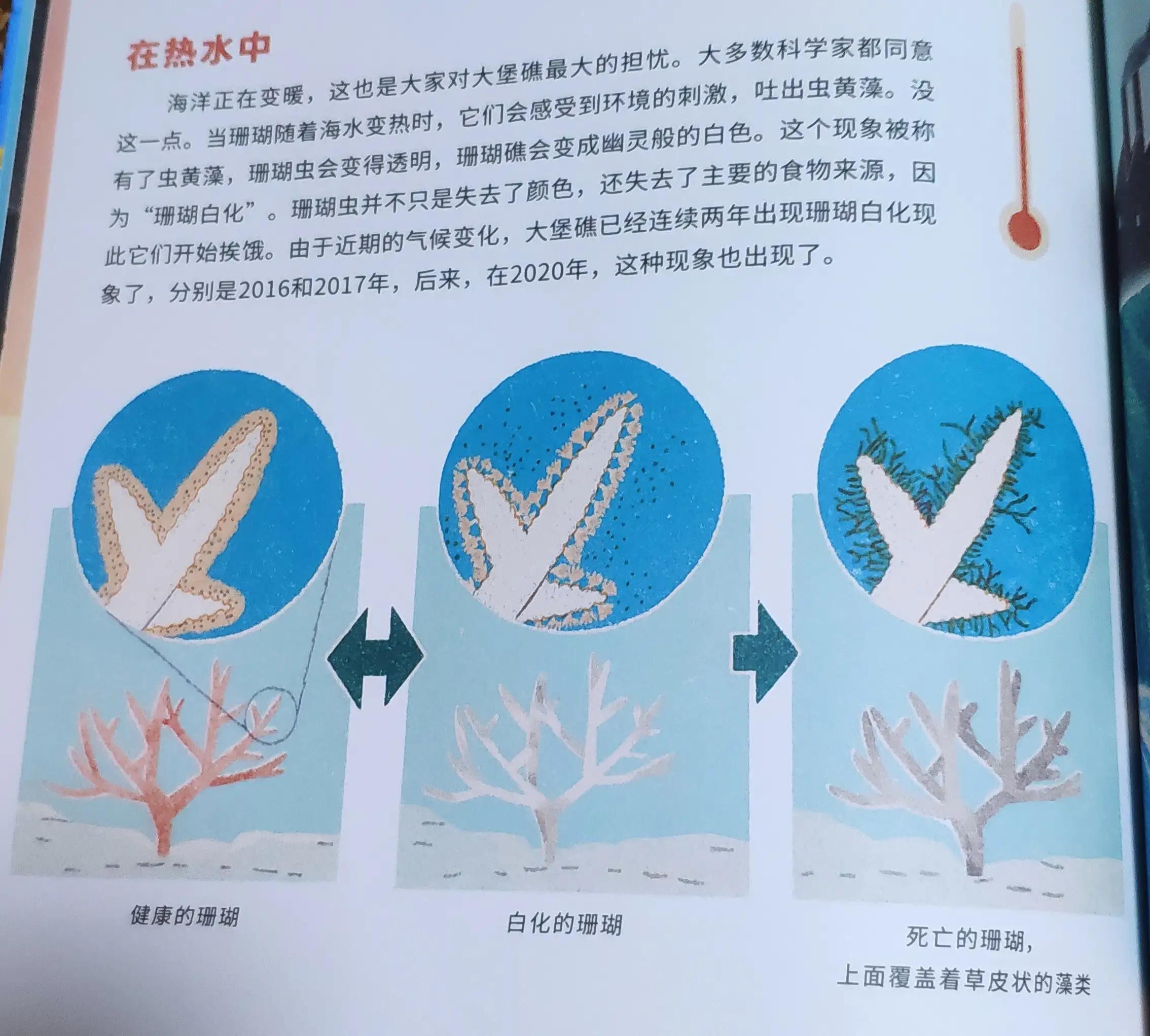 图文并茂的科普书,你不能错过的科普书