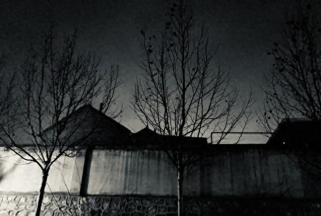 禁忌之恋中的爱情观,禁忌爱情深度解析