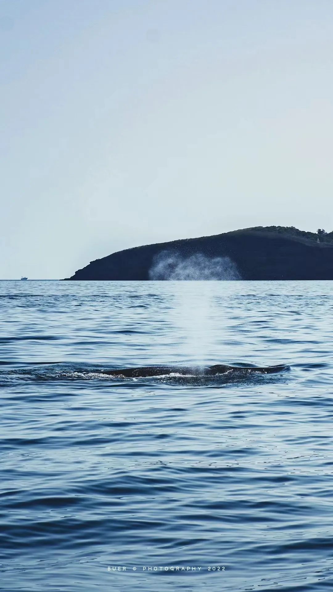 这座岛究竟有何神奇之处,怎么玩海陵岛不踩坑
