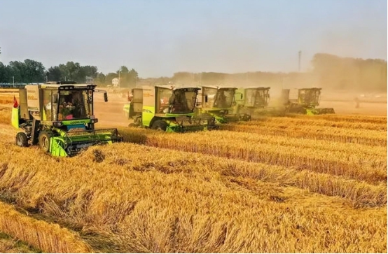 网购白酒为什么那么便宜,白酒发货地为啥在河南