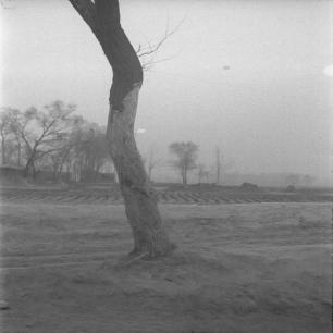 清末诡异老照片,31张万恶旧社会老照片