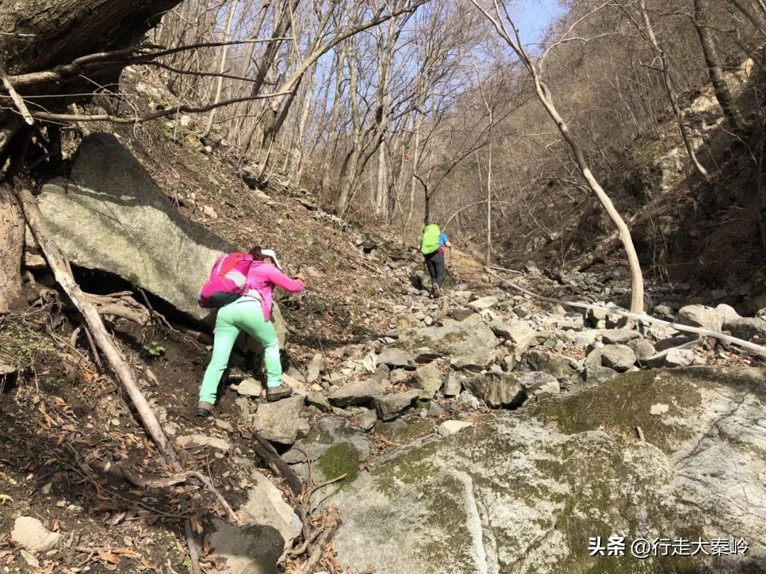 首阳山穿越大坪梁景色怎么样,大坪梁穿越到首阳山攻略