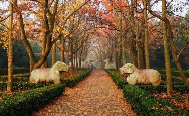 中国最美的十座山你去过了吗,中国最美的十大名山你爬过几座