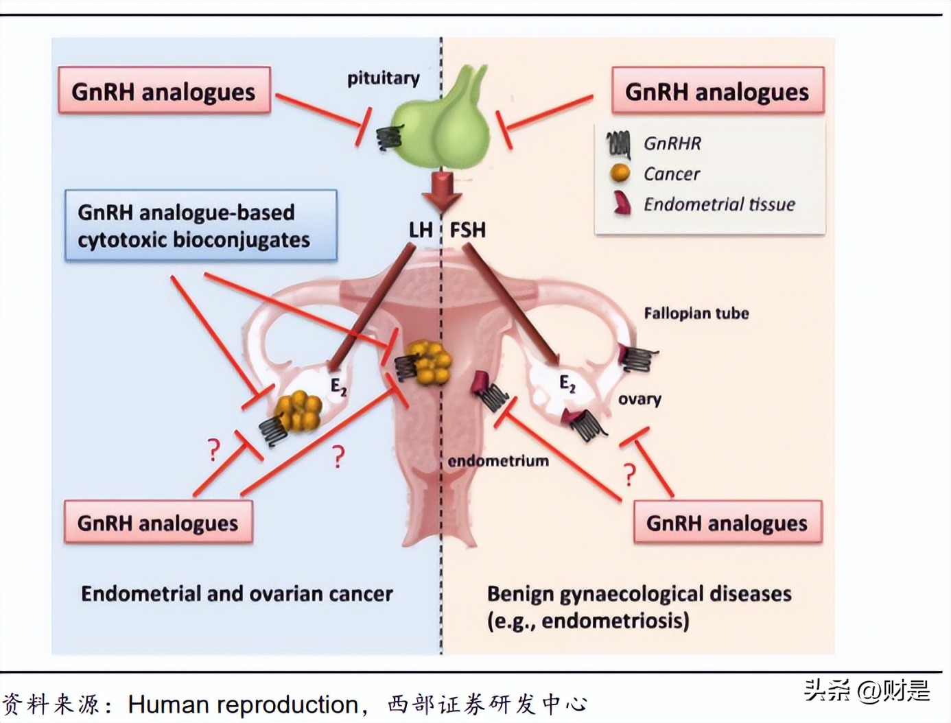 恒瑞医药研究报告：拐点将至，创新引领，布局海外，转型再出发