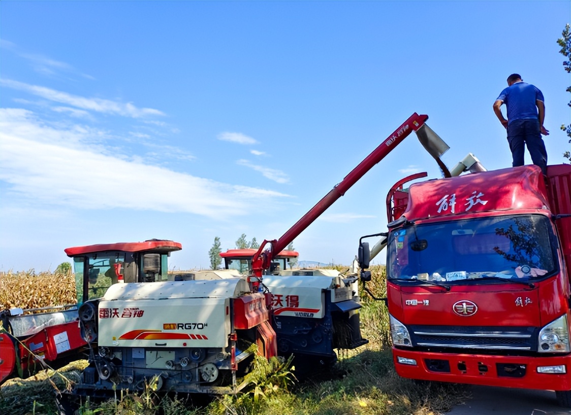 蚌埠怀远常坟镇：农业“大托管”生产“大丰收”