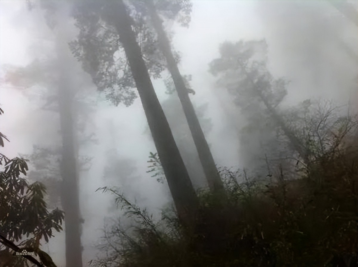 四川瓦屋山迷魂凼探险,四川瓦屋山迷魂凼是真的吗