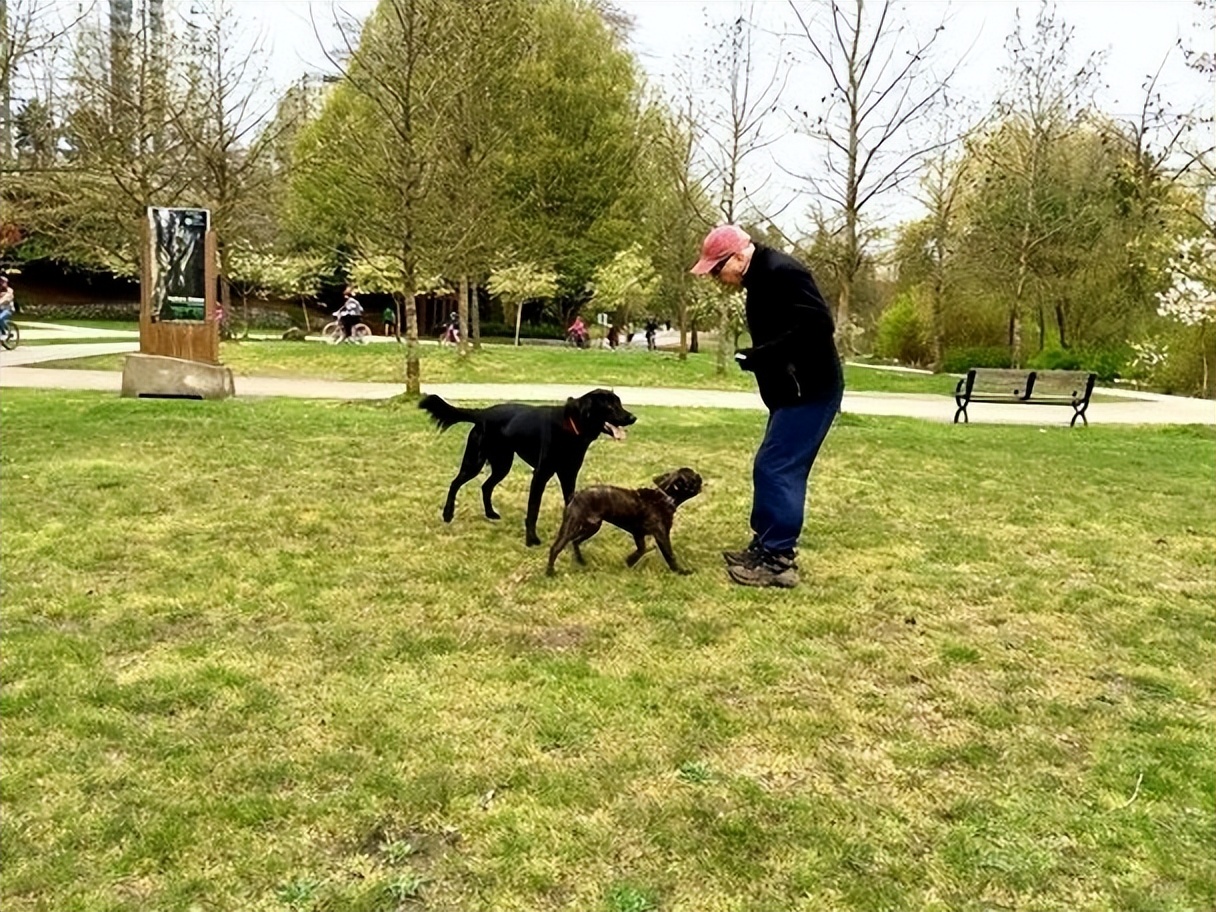 50张最美面孔尊龙,尊龙时期全球最美五十人是谁