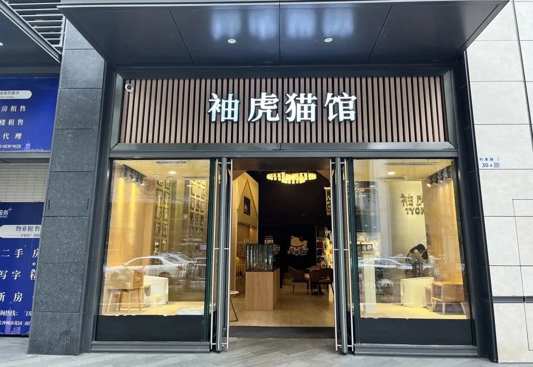 袖虎宠物店 (袖虎猫馆开店)