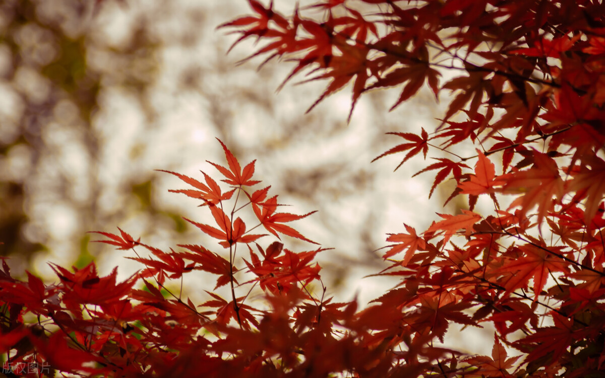 如何做好企业管理统计,企业统计在企业经营管理中的作用
