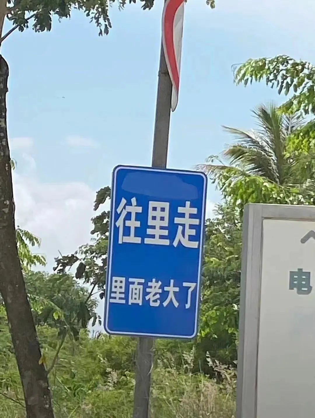 东北偏僻山村真实生活,东北冷不冷的真实生活