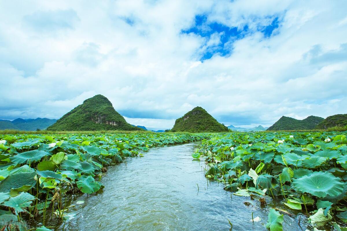 普者黑有哪些风景点,普者黑山水美如画
