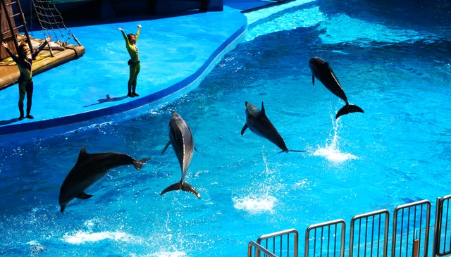 香港景点介绍大全,香港旅游十大必去景点排行榜