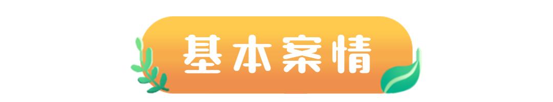 民法典保护房屋中介跳单,民法典房屋中介费跳单