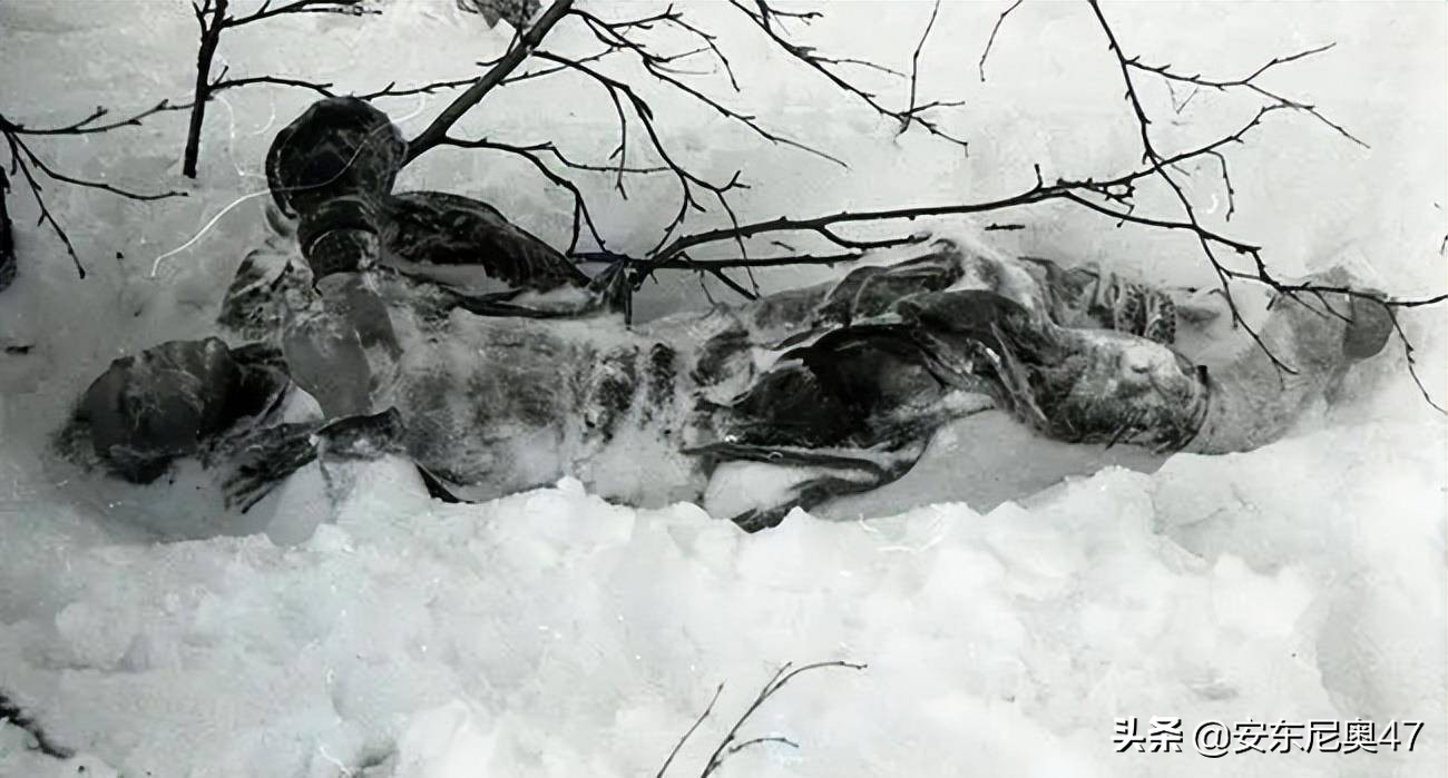 苏联神秘登山事件,前苏联9人登山死亡事件