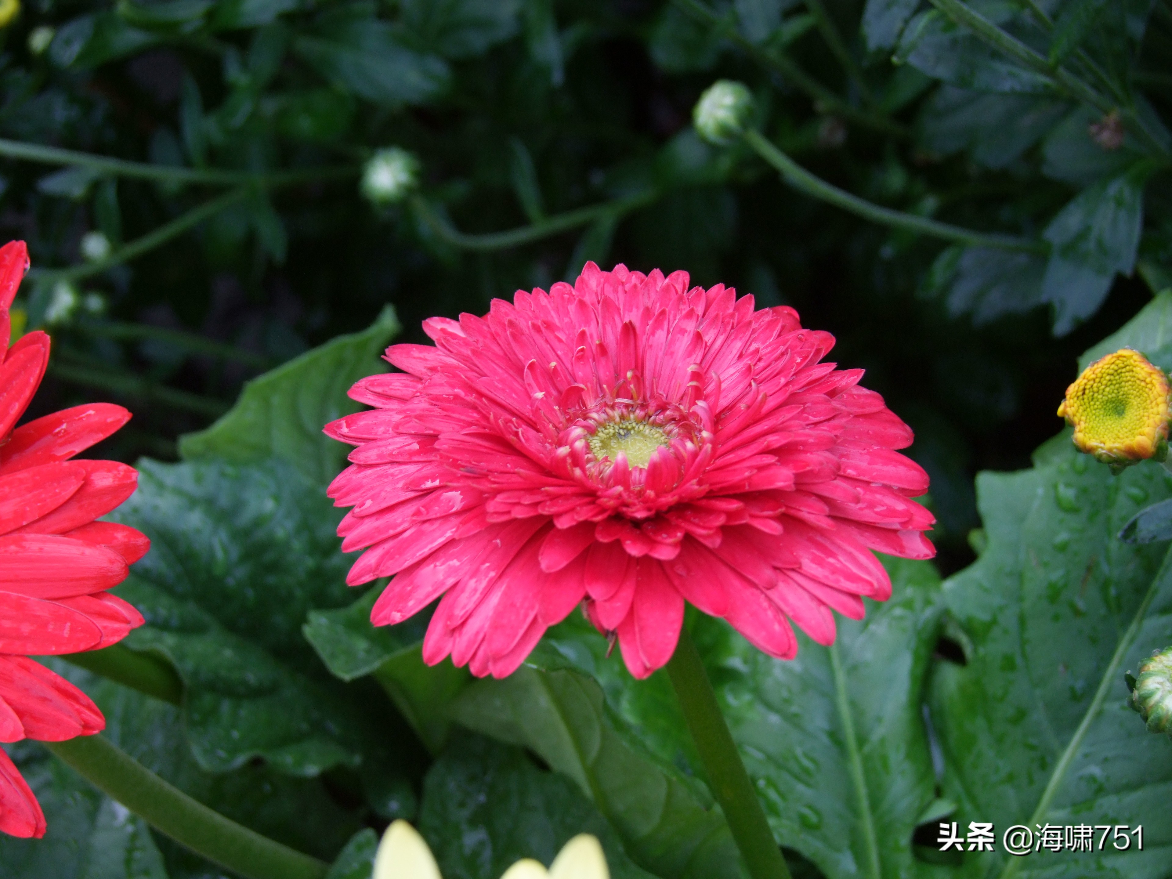 黄花岗公园开放时间,黄花岗公园停车