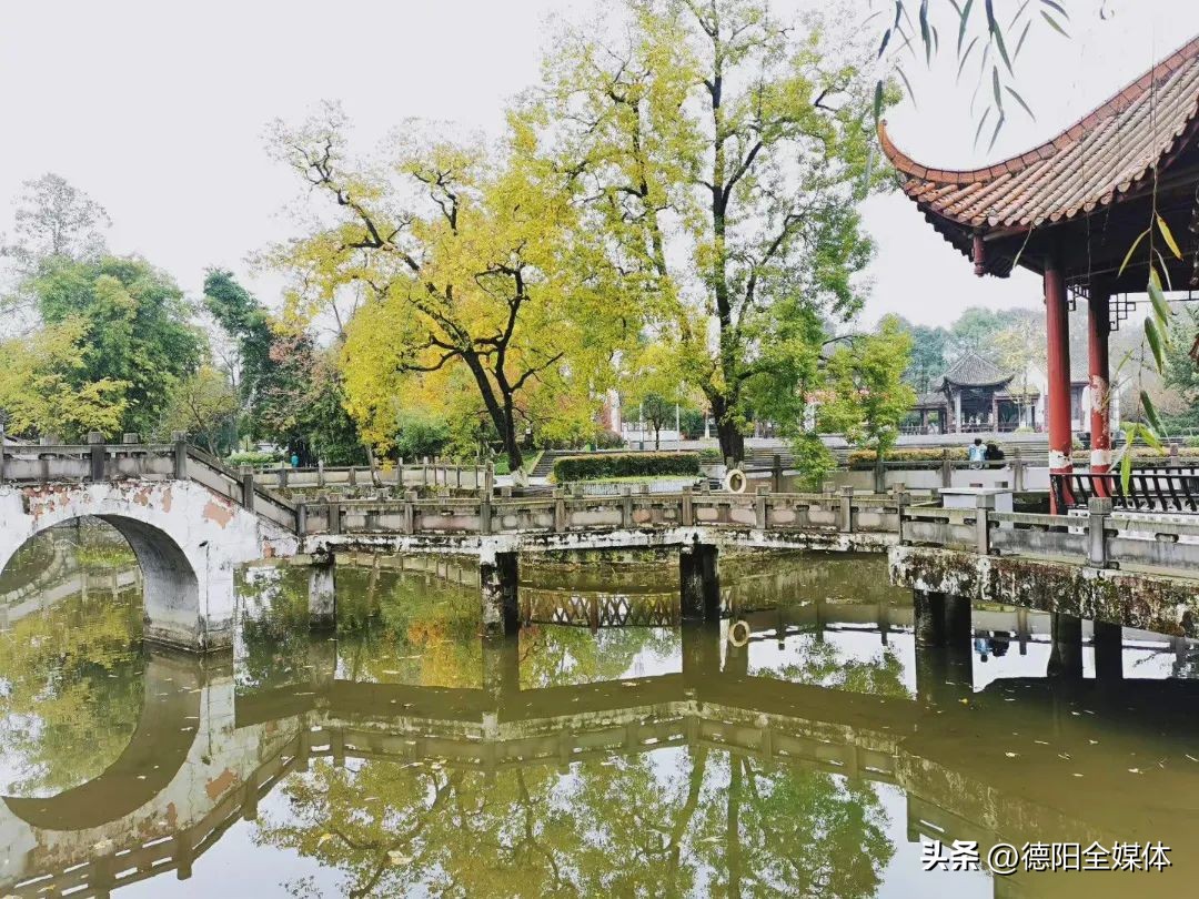 德阳高槐网红打卡地,德阳周边一日游网红打卡地冬天