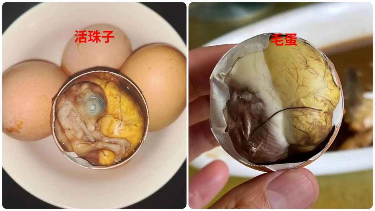 地方奇葩特色美食集锦,这些地方特色美食你吃过哪几样